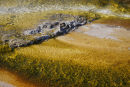 THERMAL LEDGE
